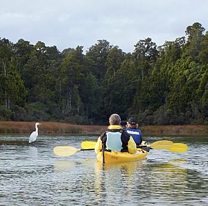 Ōkārito Lagoon • Okarito Kayaks • MRD 03 (cropped)