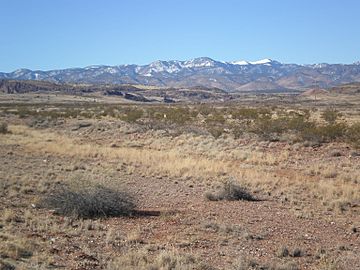 11 - Landscape, US Rte 60, West of Socorro, NM 3-Jan-2010.JPG