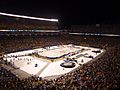 2011 Winter Classic player entrance