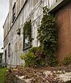 258 Wellington Corner