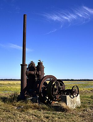 A.M. Bohnert Rice Plantation Pump