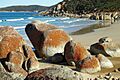 A194, Wilson's Promontory National Park, Australia, rocky beach, 2007