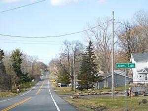 The hamlet of Adams Basin along CR 212.