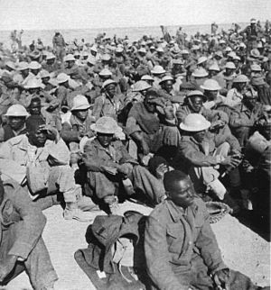 Africa Settentrionale prigionieri del Commonwealth catturati nel novembre 1941 dall armata italo tedesca