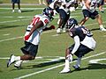 Andre Johnson (2) - Houston Texans