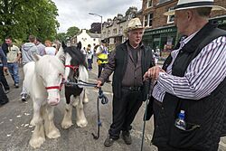 Appleby Horse Fair (8998996917).jpg