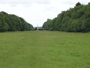 Avenue from Silverstone to Stowe - geograph.org.uk - 478669
