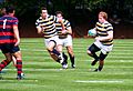 Cal v Gaels 2010 23