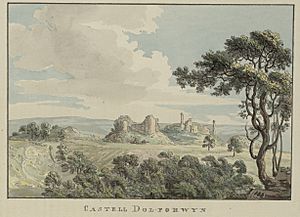 Castell DolForwyn