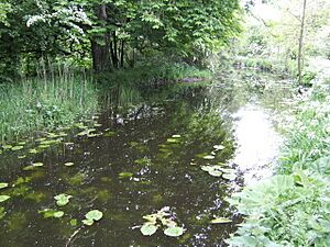 Channel of the Boyne - geograph.org.uk - 455524