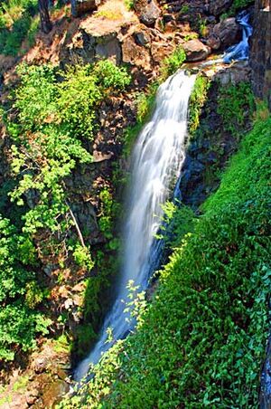 Columbia Gorge Hotel Waterfall (Hood River County, Oregon scenic images) (hooDA0054).jpg