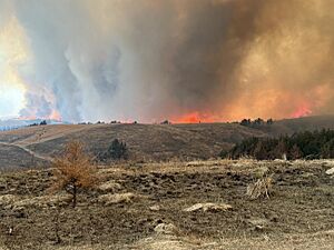 Cottonwood Fire on March 13.jpg