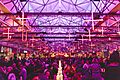 Dark Mofo Winter Feast - 30494275558