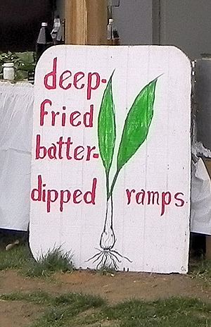 Deep Fried Ramps sign Mason Dixon Ramp Fest