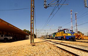 Estación Parral