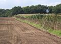 Field rising towards Middle Wood - geograph.org.uk - 968526