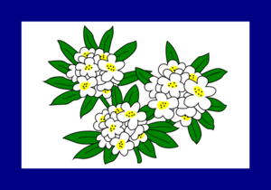 Flag of West Virginia (1905-1907)