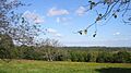 Governor Hutchinsons Field Milton MA 01