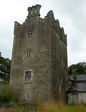 Grange Castle, County Kildare