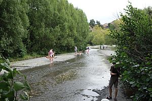 Hanmer River 072