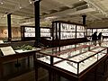 Harvard Natural History Museum 2023g