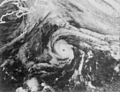 Hurricane Florence (1994)