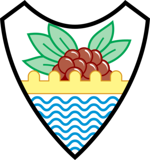 Insigne Iemeniae