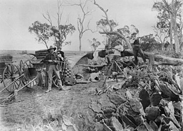 Kangaroo shooting party Pilton, 1917 (17043141797).jpg