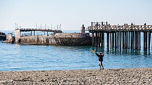 Kid Playing Frisbee at Seacliff State Beach (11811673305)