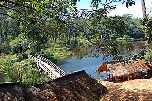 Kirirom National Park