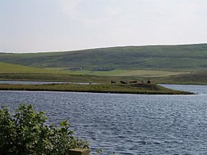 Law Ting Holm in Tingwall Loch - geograph.org.uk - 2734