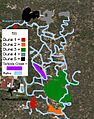 Layout Of Site