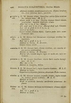 Linnaeus 1758 Systema Naturae - Descriptions of mantises