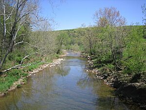 Little Cacapon River Creekvale WV 2007 5 7 6