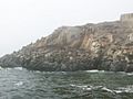 Lobos de mar Callao