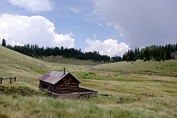 Meadow & cabin near Big Lake, AZ