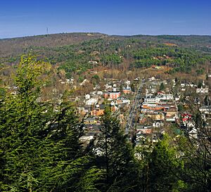 Milford Bird's-Eye View