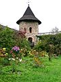 Moldovita Monastery garden - panoramio