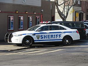 New York City Sheriff Ford Taurus Police Interceptor