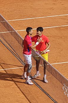 Novak Djokovic vs. Carlos Alcaraz, 2024 Summer Olympics men's singles tennis tournament, 2024-08-04 (627) (cropped)