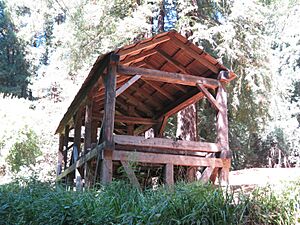Old-Mill-Park-Mill-Valley-Florin-WLM-8