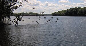 Old-hickory-lake-bledsoe-tn1