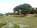 Open field jasimuddin