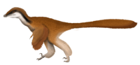 Papiliovenator Life Restoration.png