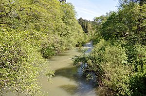 Pass Creek in Drain, Oregon.jpg