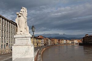 Pisa city by oldypak lp photo