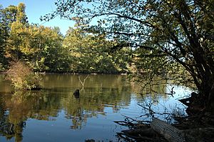 Pond creek nwr