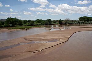 Rio Grande near Isleta