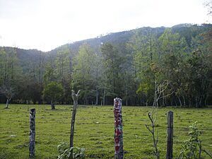 Santa Cruz, Honduras (8)