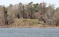Santee mound 1549